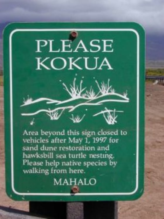 Hawaii has two official languages, Hawaiian & English, though Pidgin, Samoan, and Tongan are also spoken.