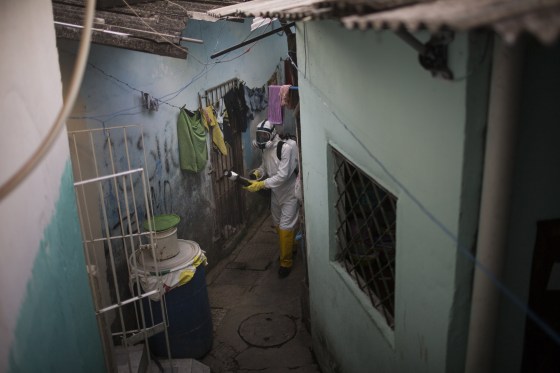 Image: Street Fumigation