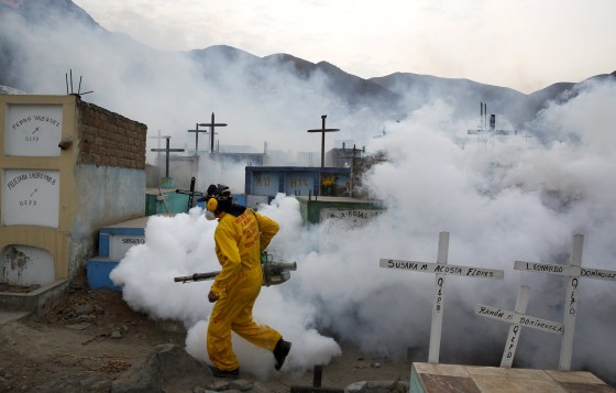 Image: A health worker carries out fumigation as part of preventive measures against the Zika virus and other mosquito-borne diseases at the cemetery of Carabayllo on the outskirts of Lima