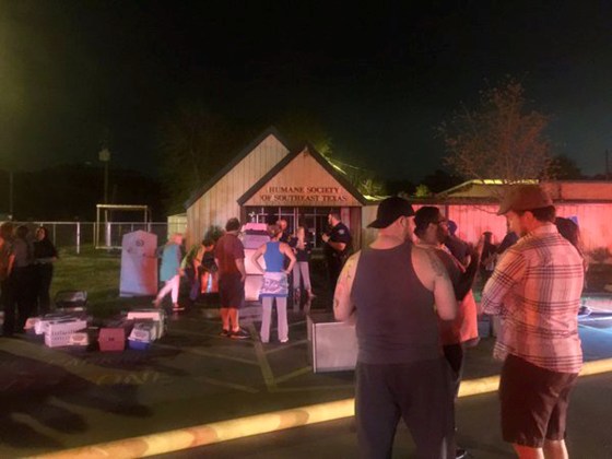 Image: A fire has killed more than 50 animals at the Humane Society of Southeast Texas