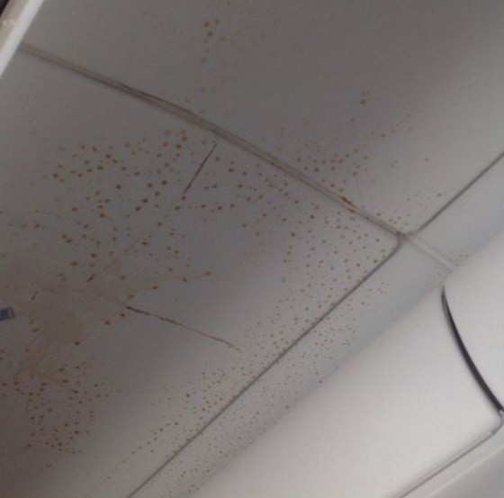 Image: Stains on ceiling of the plane left by drink cart during American Eagle flight 3358
