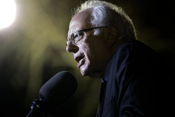 Image: Bernie Sanders Campaign Rally in the Bronx, New York
