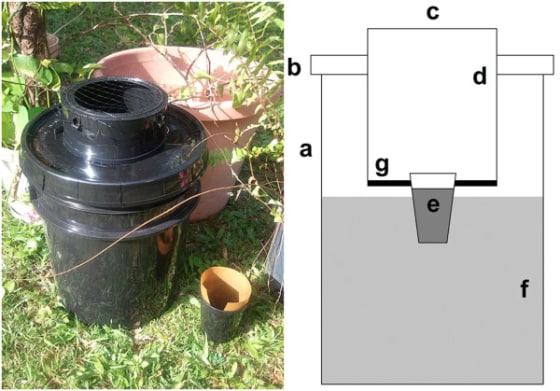 This bucket trap was made by health officials in Puerto Rico. They hope it might help communities fight Zika virus. Components include a black pail(a), a black pail lid(b), a 12.8cm entrance diameter(c), a black capture surface (CS) coated with adhesive(d), PAM(e), a 9.3 l capacity infusion reservoir(f), and a screen barrier between the CS and the infusion reservoir(g)