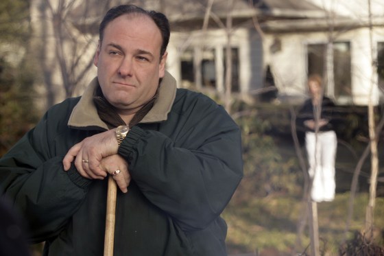 Image: James Gandolfini
