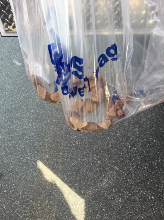 IMAGE: Copperhead at N.C. store