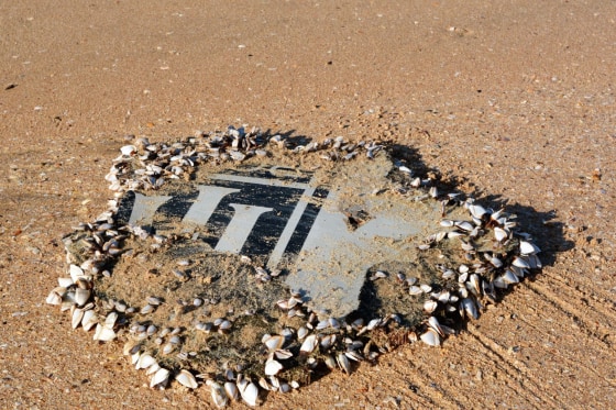 Image: Suspected piece of Flight MH370