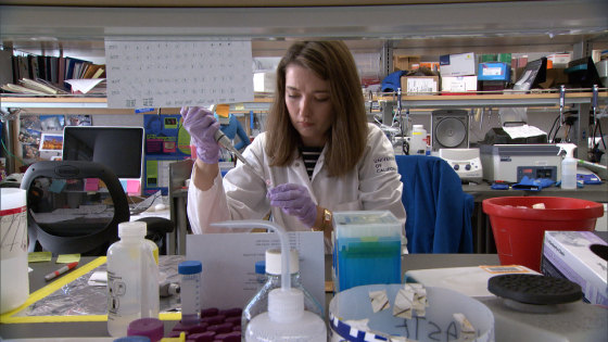 A researcher at the Center for BRCA Research at the University of California, San Francisco.