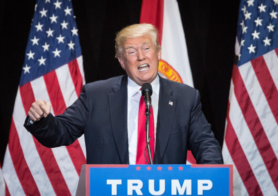 Image: Donald Trump Campaign Rally In Tampa