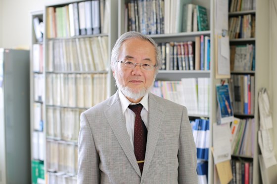 Image: Yoshinori Ohsumi, a professor in Tokyo Institute of Technology, was awarded the 2016 Nobel prize for medicine.