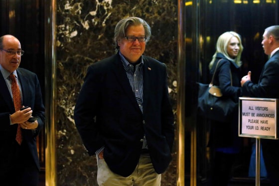 Image: Steve Bannon