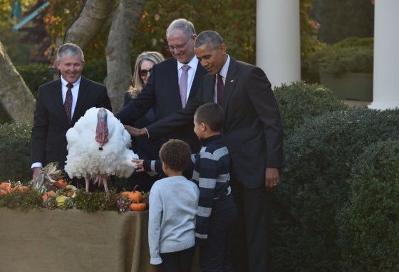 Image: US-POLITICS-OBAMA-TURKEY