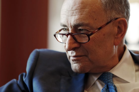 Image: Senate Minority Leader-elect Chuck Schumer