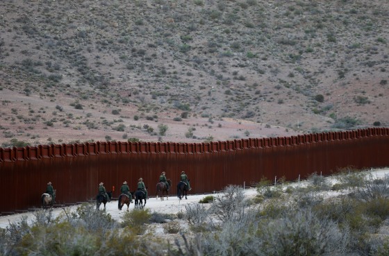 Image: The Wider Image: Wild horse border patrol