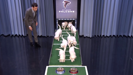 Jimmy fallon best sale super bowl puppies