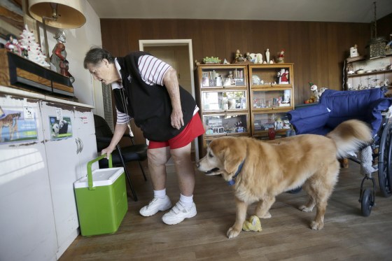 Image: Sherry Scott moves a cooler holding her Meals on Wheels as her 10-year-old golden retriever Tootie looks on at her home in San Diego, Dec. 10, 2013.