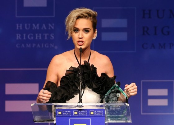 Human Rights Campaign's 2017 Los Angeles Gala Dinner - Show