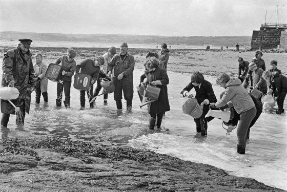 Torrey Canyon Oil Spill