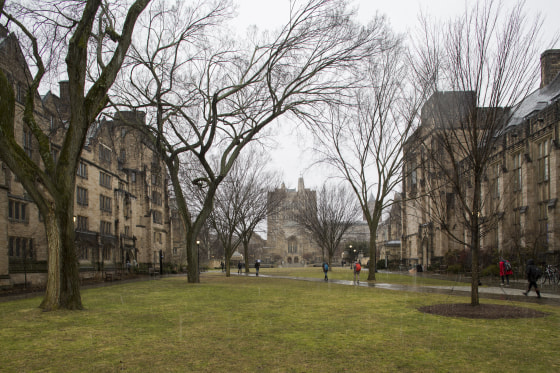 Yale University campus in February 2016.