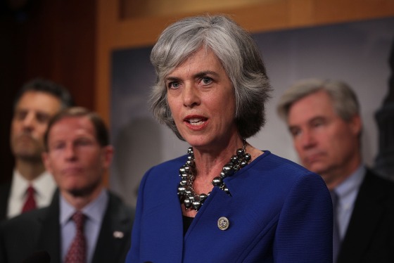 Image: Congressional Democrats Hold News Conference On Trump's First 100 Days