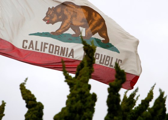 Image: FILE PHOTO - California flag flies above City Hall in Santa Monica