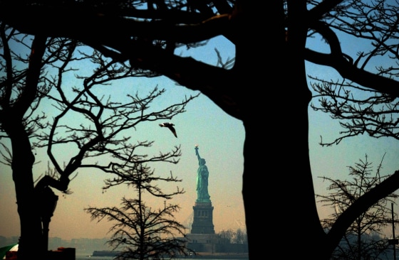 Image: The Statue of Liberty is seen from Battery Park in New York on Feb. 8, 2017.