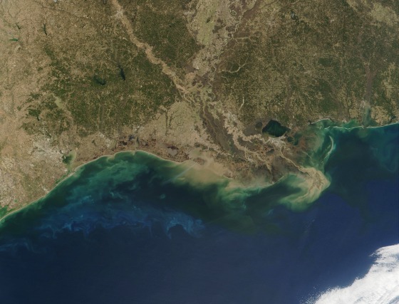 Satellite view of the Gulf of Mexico