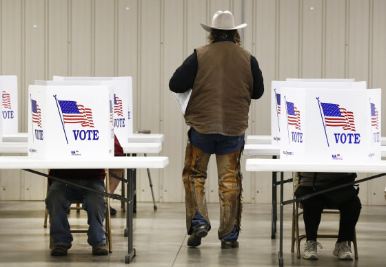 Image: US Presidential Election