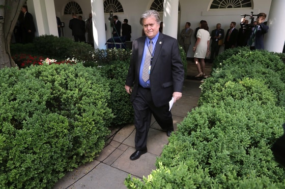 Image: Steve Bannon
