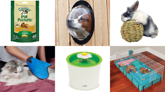 Amazon best selling pet products outlet