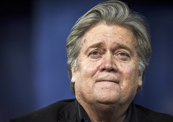 Image: Steve Bannon
