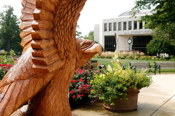 Image: A wood carving sculpture of American University's mascot, an eagle, is displayed on its campus in Washington