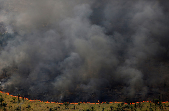 Image: A forest burns during an operation to combat illegal logging in Apui, Brazil