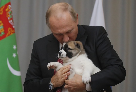 Image: Russian President Vladimir Putin