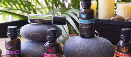 Some of the products made in Puerto Rico, available through the new website, www.shopandhirepr.com