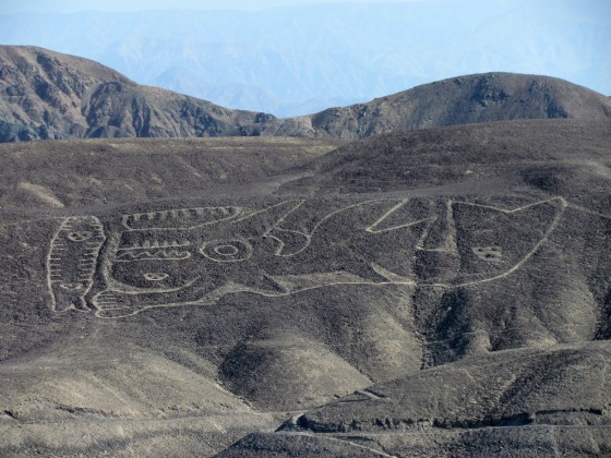 A recently rediscovered geoglyph of a sperm whale with human features in the deserts of Nazca in Perú.
