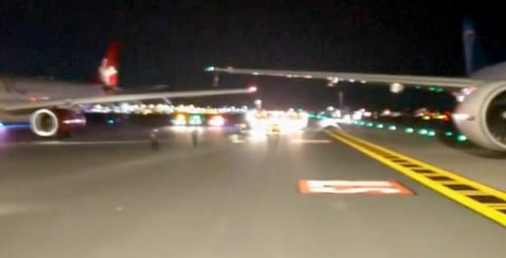 Image: Wings Clip at JFK