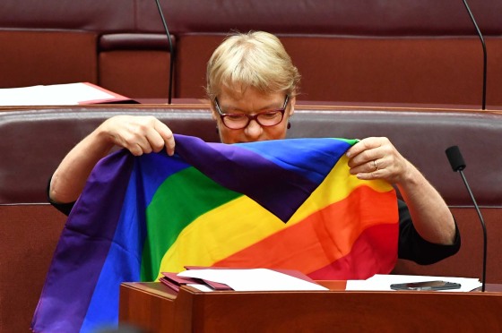 Image: Senate vote on same-sex marriage bill at Parliament House in Canberra