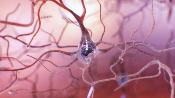 Image: Healthy Neuron