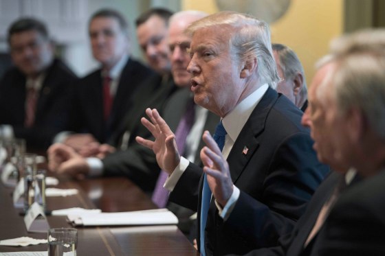 Image: President Donald Trump meets with bipartisan members of the Senate on immigration