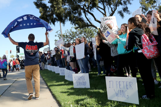 Image: National School Walkout in Redondo Beach, California