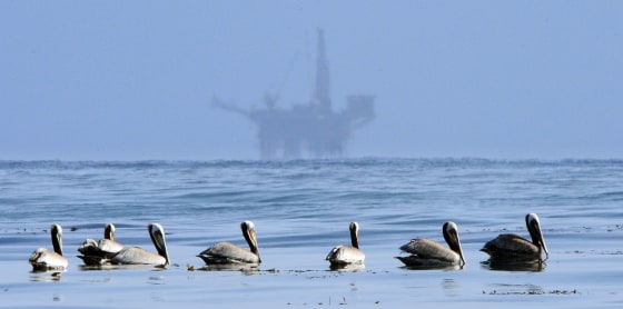 Image: Pelicans Oil Rig
