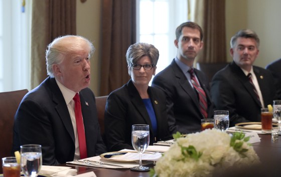 Image: Donald Trump, Joni Ernst, Tom Cotton, Cory Gardner
