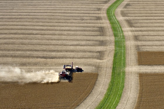 Image: Soybeans are harvested on a farm near Peru, Illinois