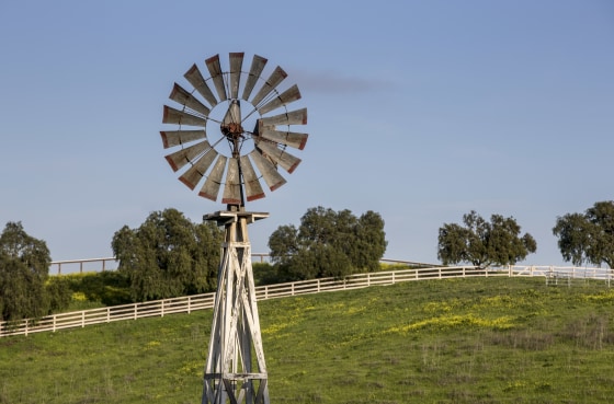 Spring Emerges in Santa Barbara Wine Country