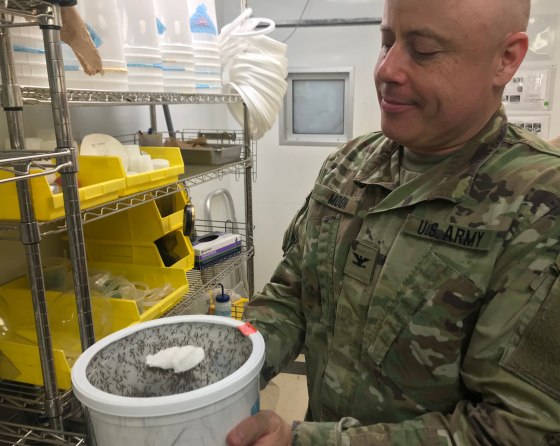 Image: Malaria vaccine project