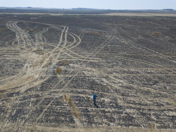 Image: Israeli Farmers