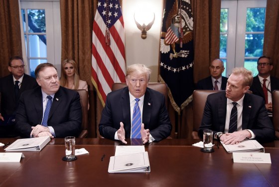 Image: Trump speaks during a cabinet meeting