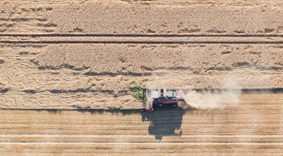 Image: Europe drought