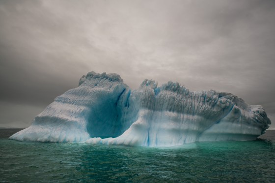 Journey To Antarctica: Photographer Sails To The Bottom Of The Earth In Three Week Expedition