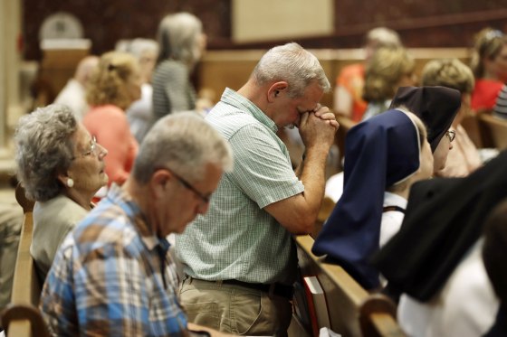 Image: Steve Ciccocioppo